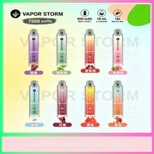 VAPOR STORM風暴辣妹｜7500口拋棄式電子煙｜大容量｜多口味｜台灣現貨