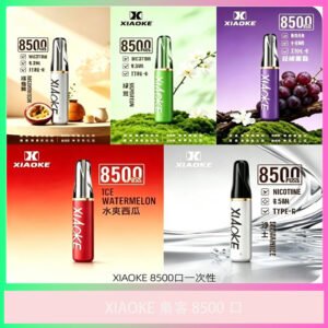 Xiaoke 梟客 8500口拋棄式電子煙 多種口味